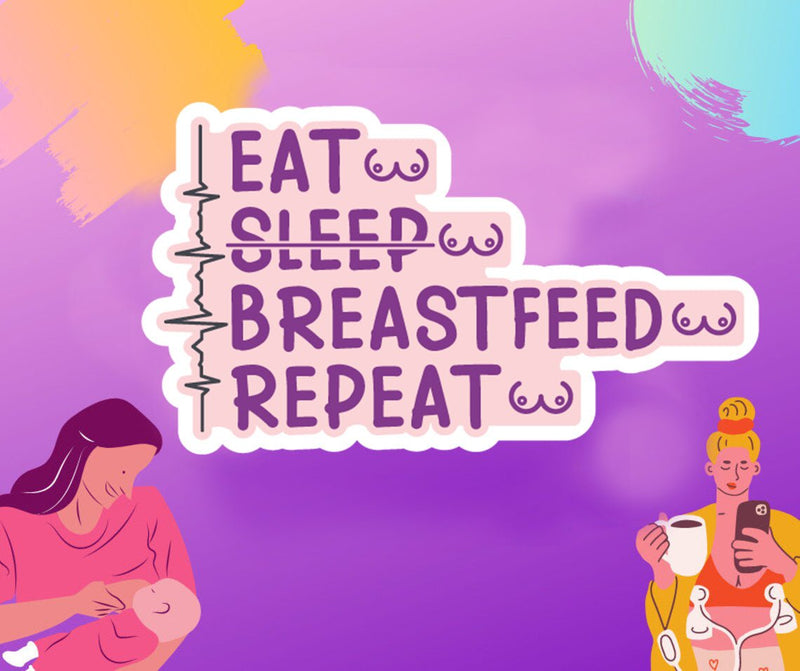 Breastfeeding Life Cycle - Sticker